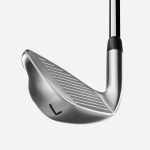 Custom 2022 0211 Iron - Chrome - Image 2