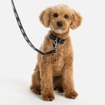 Eco Leather Pet Leash - Image 3